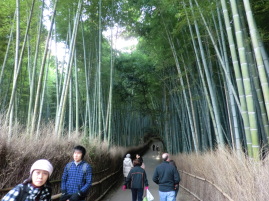 Arashiyama, Kyoto