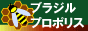 ブラジルプロポリス