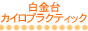 白金台カイロプラクティック