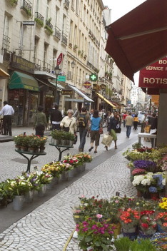 shopping street in Paris