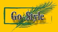 Go Style