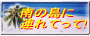 南の島に連れてって!