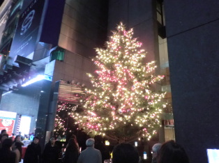 Christmas tree at Mikimoto Pearl store