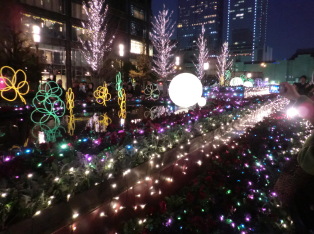 Lightopia in Tokyo