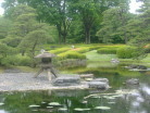 Japanese garden