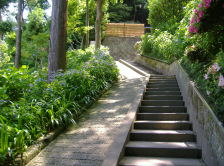 hydrangea path