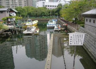 pillar under the canal