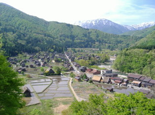 Shirakawago from the hill