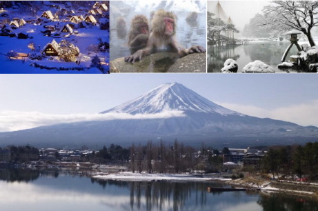 Snow Monkey and Shirakawago